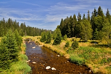 Šumava